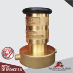 piton-de-bronce-wilson-and-cousing